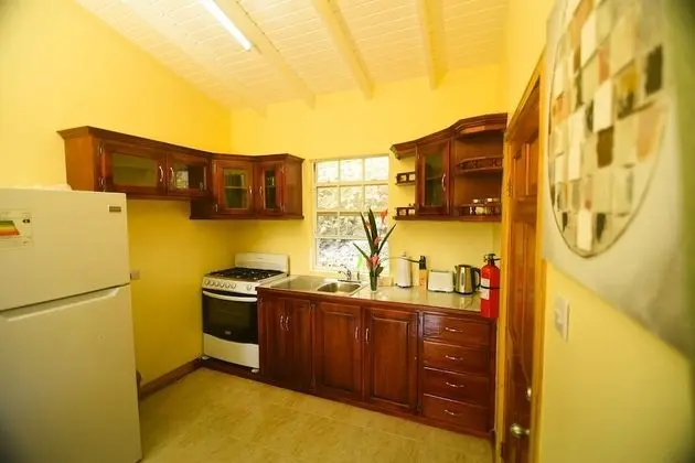 Premier Apart Daire, 1 Yatak Odası, Okyanus Manzaralı, Denize Bakan