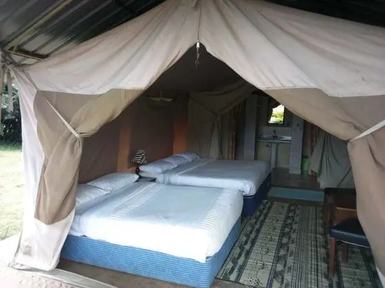 Comfort Çadır