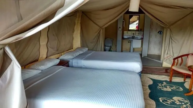 Comfort Çadır