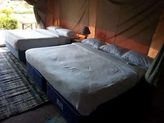 Comfort Çadır