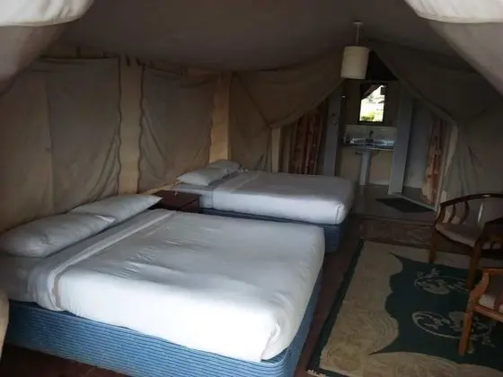 Comfort Çadır