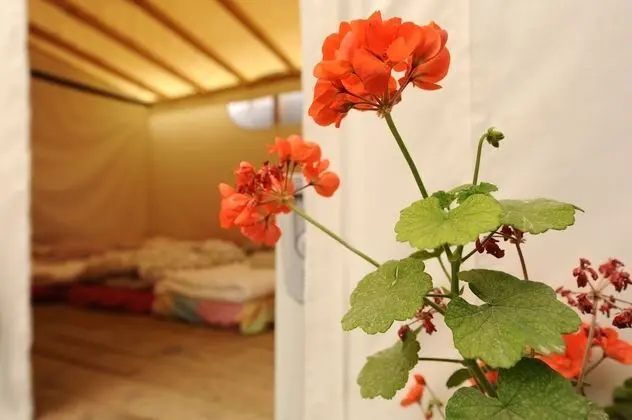 Luxury Private Tent, 3 people, Shared Bathroom