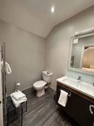 Executive Tek Büyük Yataklı Oda