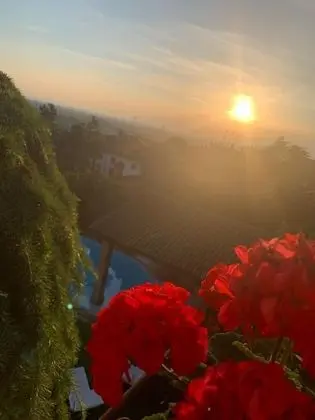 Superior Tek Büyük Yataklı Oda, 1 Büyük (Queen) Boy Yatak