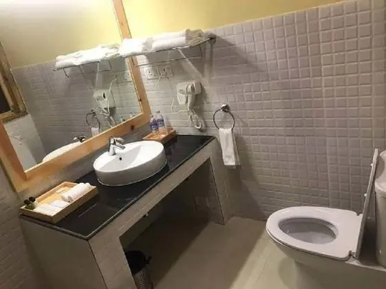 Deluxe Tek Büyük veya İki Ayrı Yataklı Oda