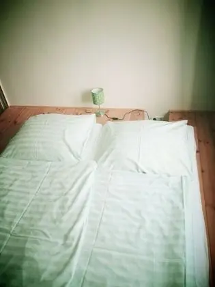 Tek Büyük Yataklı Oda, Ortak Banyo (Gangas Palace )