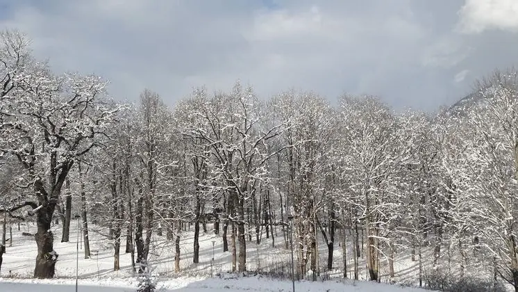 Superior Oda, Park Manzaralı