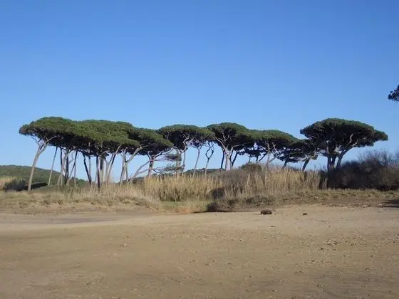 Villa, 1 Yatak Odası, Veranda