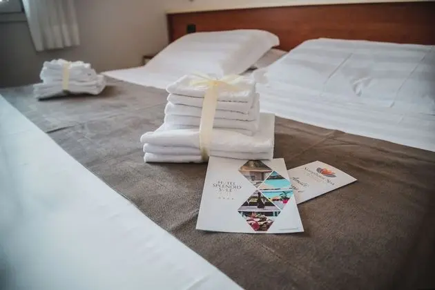 Superior Tek Büyük Yataklı Oda