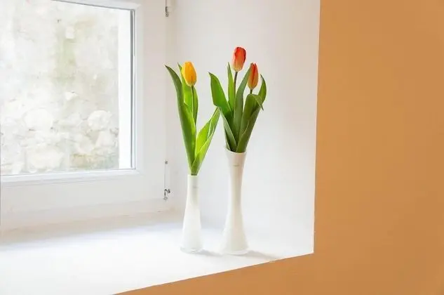 Comfort Stüdyo Süit, 1 En Büyük (King) Boy Yatak ve Çekyat