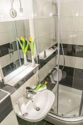 Comfort Stüdyo Süit, 1 En Büyük (King) Boy Yatak ve Çekyat