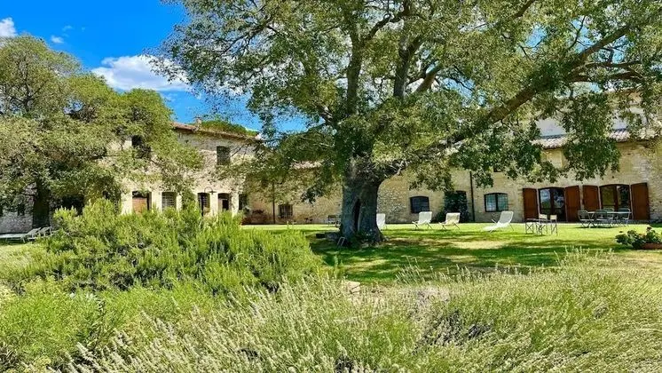 Ev, 4 Yatak Odası, Teras