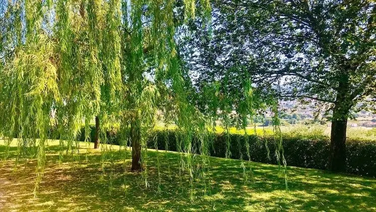 Villa, Birden Çok Yatak Odası, Veranda