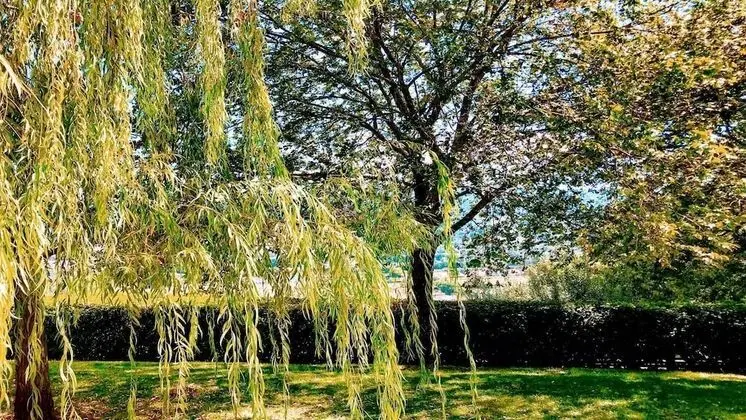 Villa, Birden Çok Yatak Odası, Veranda