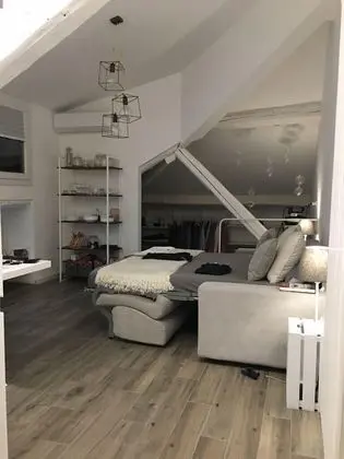 Çatı Katı (Loft), 1 Yatak Odası