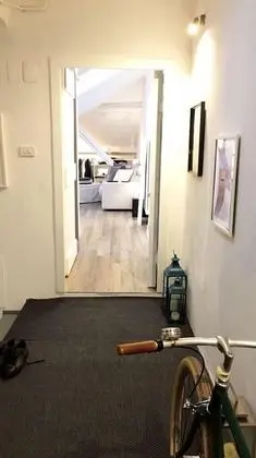 Çatı Katı (Loft), 1 Yatak Odası