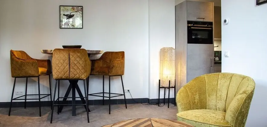 Luxury Apart Daire (5)