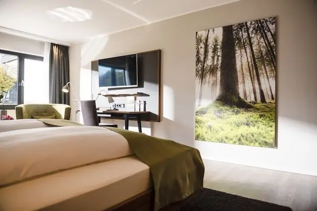 Deluxe Tek Büyük Yataklı Oda, Sigara İçilmez