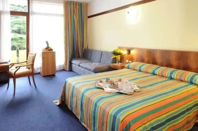 Tek Büyük Yataklı Oda, Havuz Manzaralı