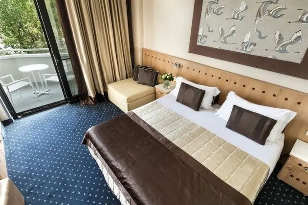 Superior Tek Büyük Yataklı Oda