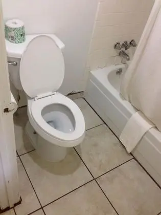 Standard Oda