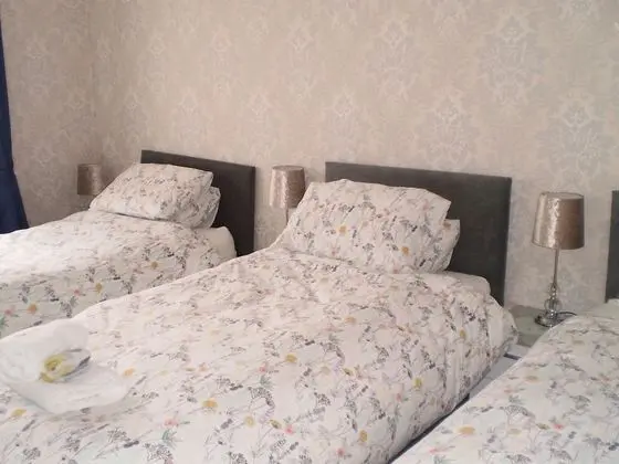 Comfort Üç Kişilik Oda, Banyolu/Duşlu (Blue Room with shower)