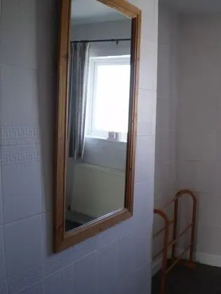 Tek Büyük Yataklı Oda, Banyolu/Duşlu (and Shower)