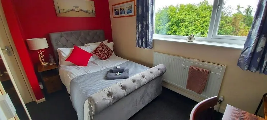 Basic Tek Büyük Yataklı Oda, Banyolu/Duşlu (Double room number 4)