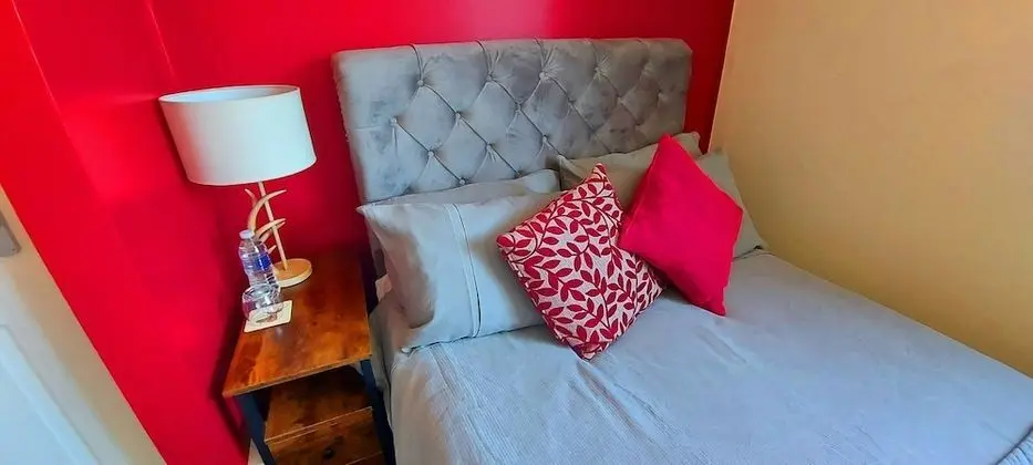 Basic Tek Büyük Yataklı Oda, Banyolu/Duşlu (Double room number 4)