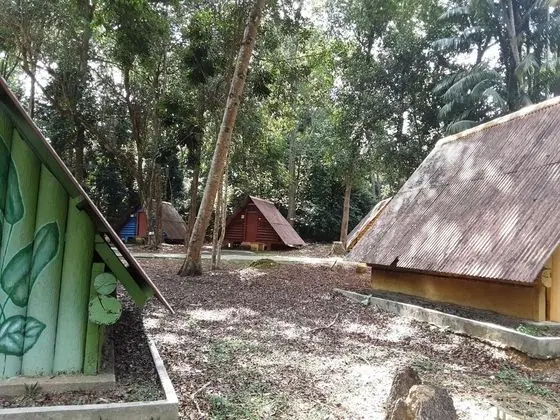 Üç Kişilik Oda