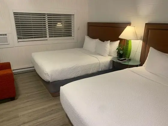 2 Queen Room