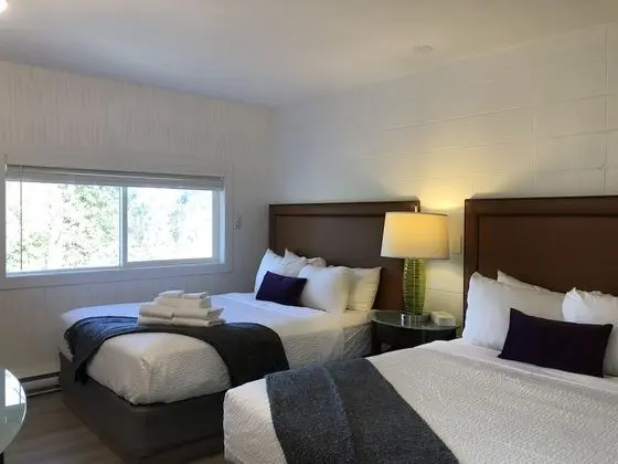2 Queen Room