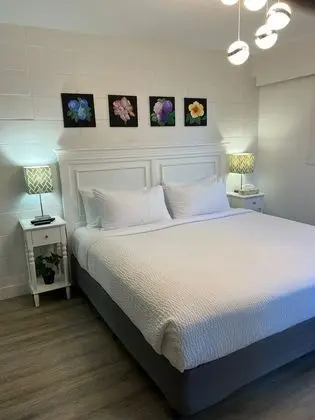 King Studio Suite