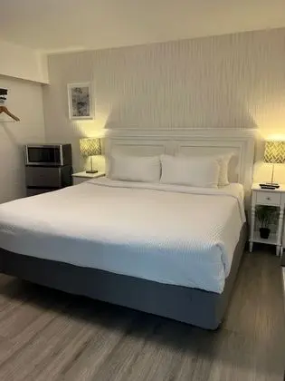 King Studio Suite