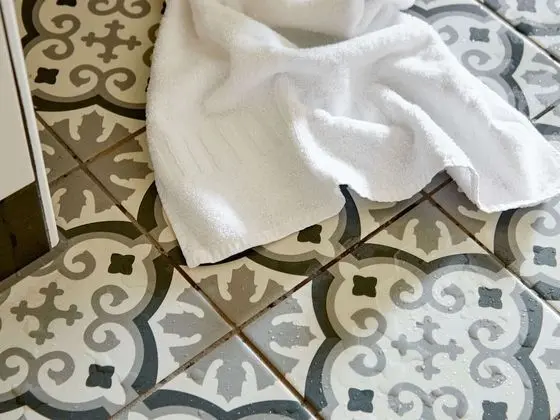 Ev
