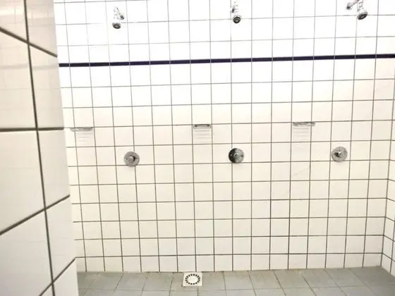 Ev