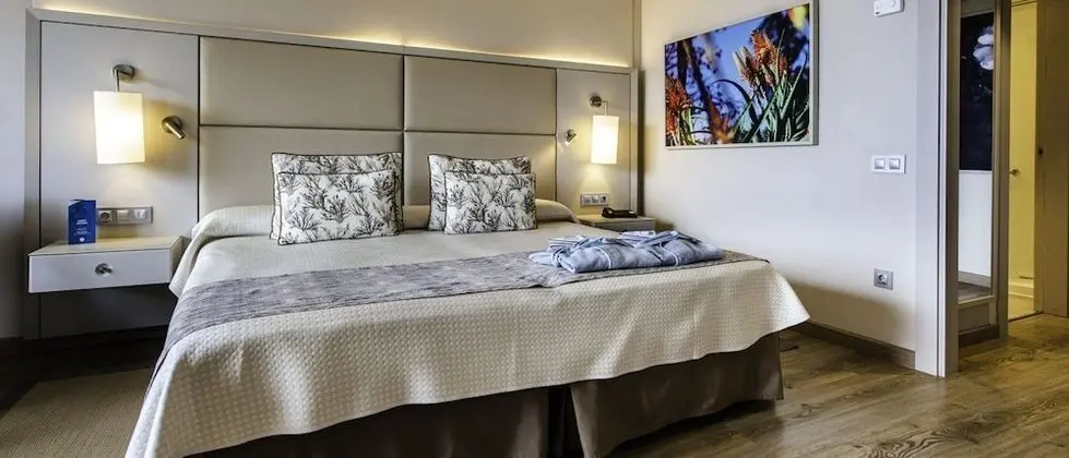 Büyük Yataklı Tek Kişilik Oda, Kısmi Deniz Manzaralı (1 adult)