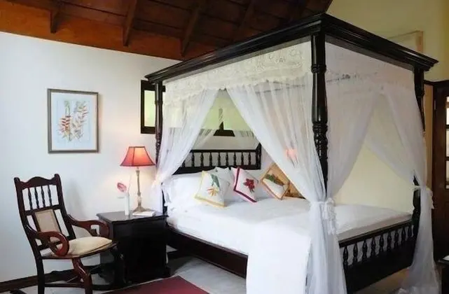 Süit (King Bed)