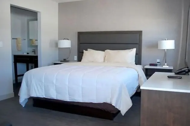 Classic Stüdyo Süit, 1 En Büyük (King) Boy Yatak ve Çekyat