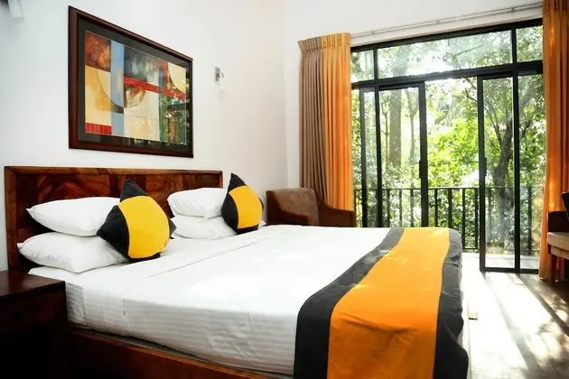 Deluxe Tek Büyük Yataklı Oda, 1 En Büyük (King) Boy Yatak, Dağ Manzaralı