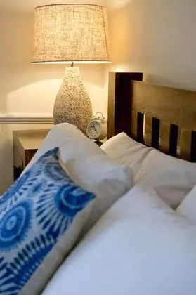 Deluxe Tek Büyük Yataklı Oda, Banyolu/Duşlu, Bahçe Manzaralı