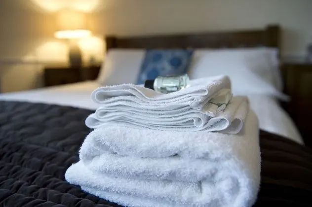 Deluxe Tek Büyük Yataklı Oda, Banyolu/Duşlu, Bahçe Manzaralı