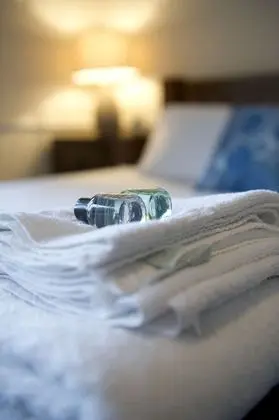Deluxe Tek Büyük Yataklı Oda, Banyolu/Duşlu, Bahçe Manzaralı
