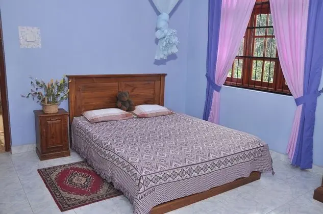 Deluxe Tek Büyük Yataklı Oda, 1 Çift Kişilik Yatak, Sigara İçilebilir