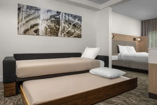 Süit, 1 En Büyük (King) Boy Yatak ve Çekyat (Mobility/Hearing Accessible, Tub)