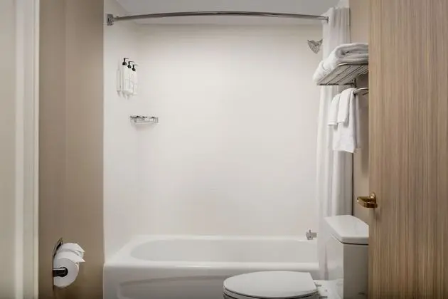 Süit, Birden Çok Yatak (Hearing Accessible)