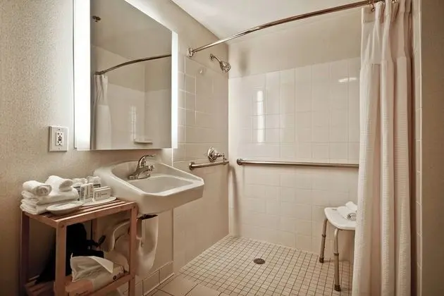 Stüdyo, Birden Çok Yatak (Mobility Accessible, Roll-In Shower)