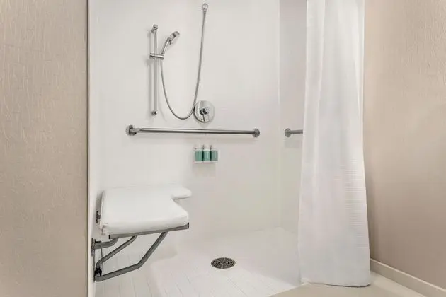 Stüdyo, 1 En Büyük (King) Boy Yatak ve Çekyat (Mobility/Hearing Access, Roll-In Shwr)