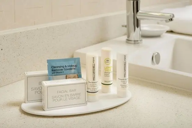 Stüdyo, 1 En Büyük (King) Boy Yatak ve Çekyat (Mobility Accessible, Roll-In Shower)