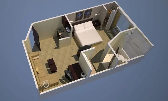 Stüdyo Süit, 1 En Büyük (King) Boy Yatak ve Çekyat (Mobility/Hearing Accessible, Tub)